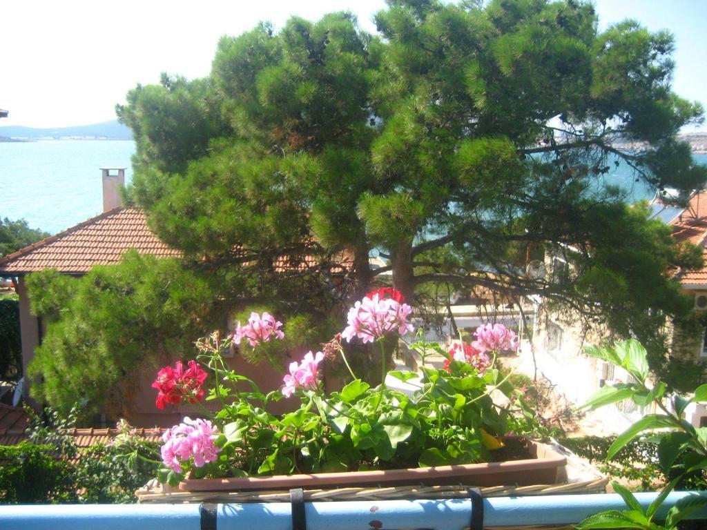 Mavi Pension Hotel Ayvalı Buitenkant foto