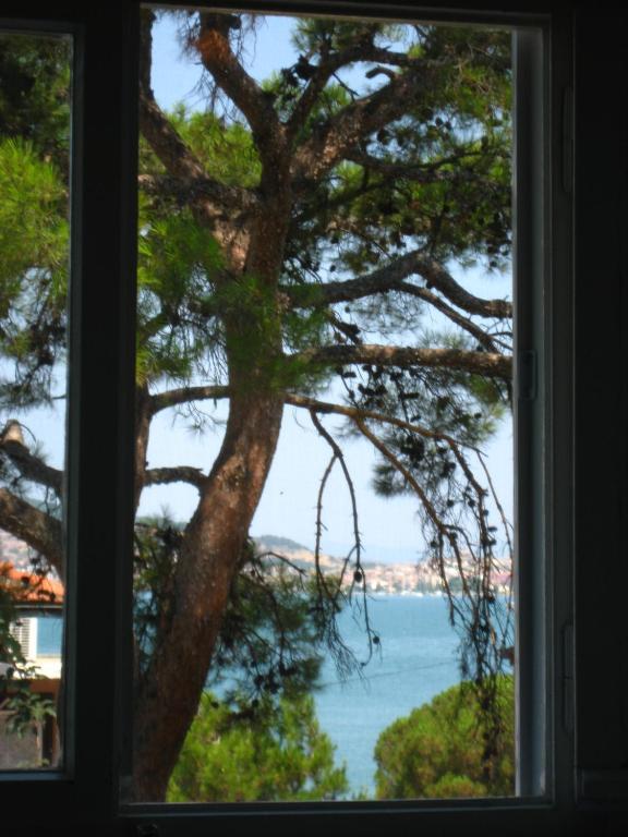 Mavi Pension Hotel Ayvalı Buitenkant foto